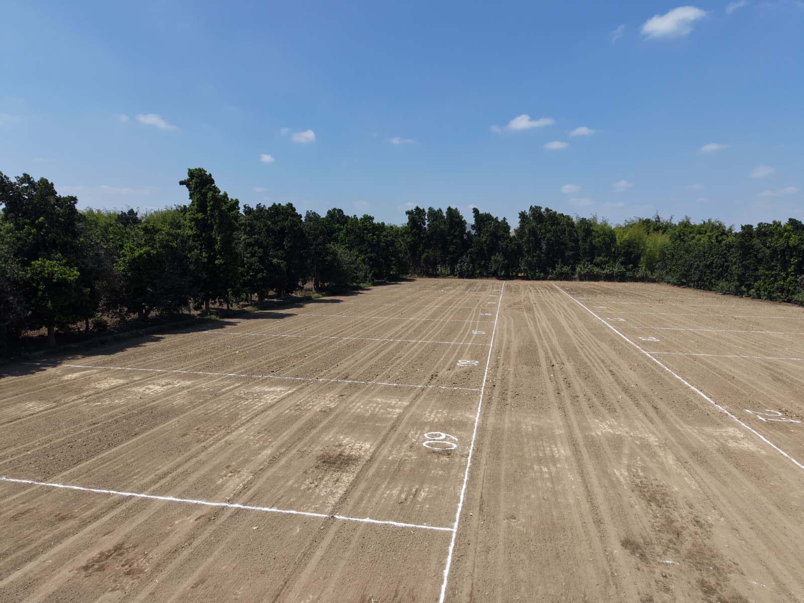 Proyecto El Encanto